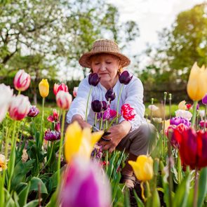 woman in a tulip garden