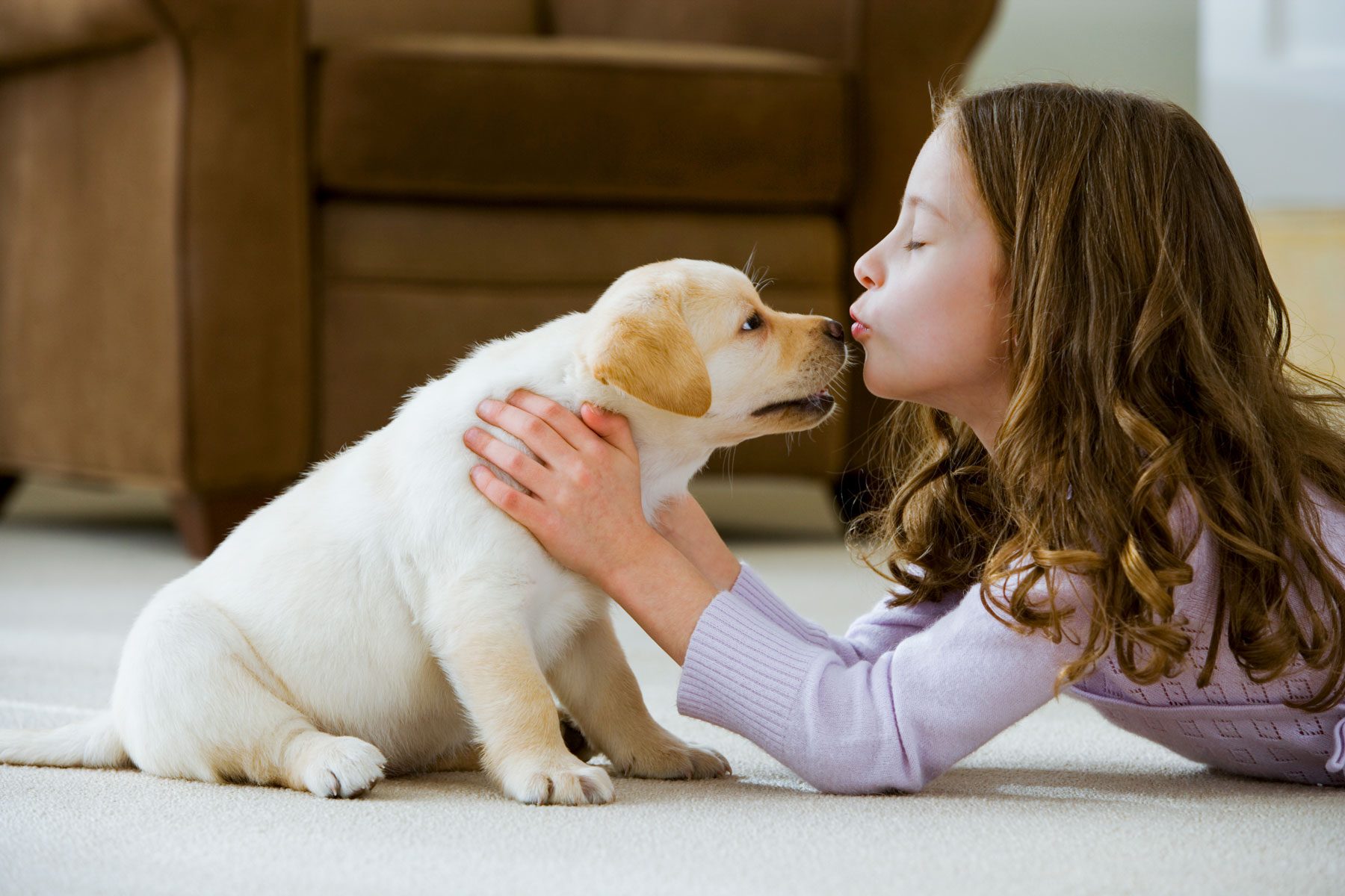 Girl Kissing Pet Puppy