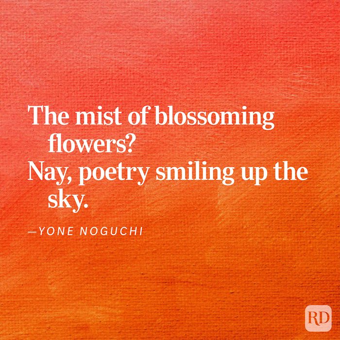 30 Short Poems That Will Help You Read More Poetry This Year