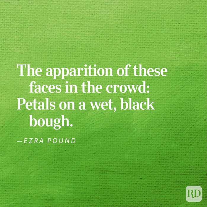 30 Short Poems That Will Help You Read More Poetry This Year