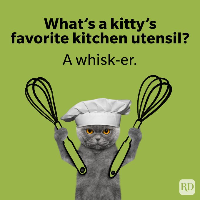 50 Cat Puns That Are Paws Itvely Purrfect Kitty Puns Graphic