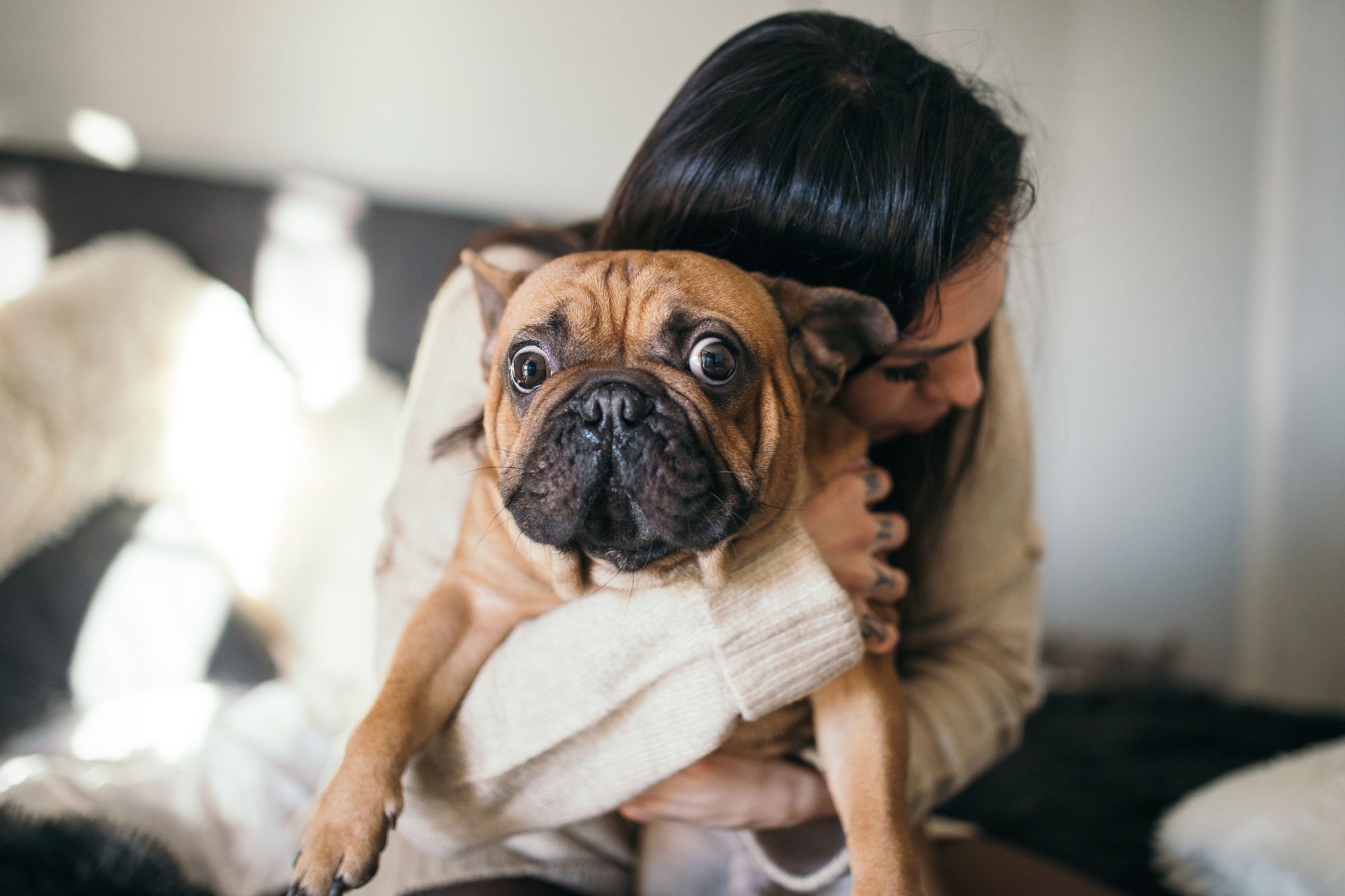 A Woman Hugging Her Cute Puppy