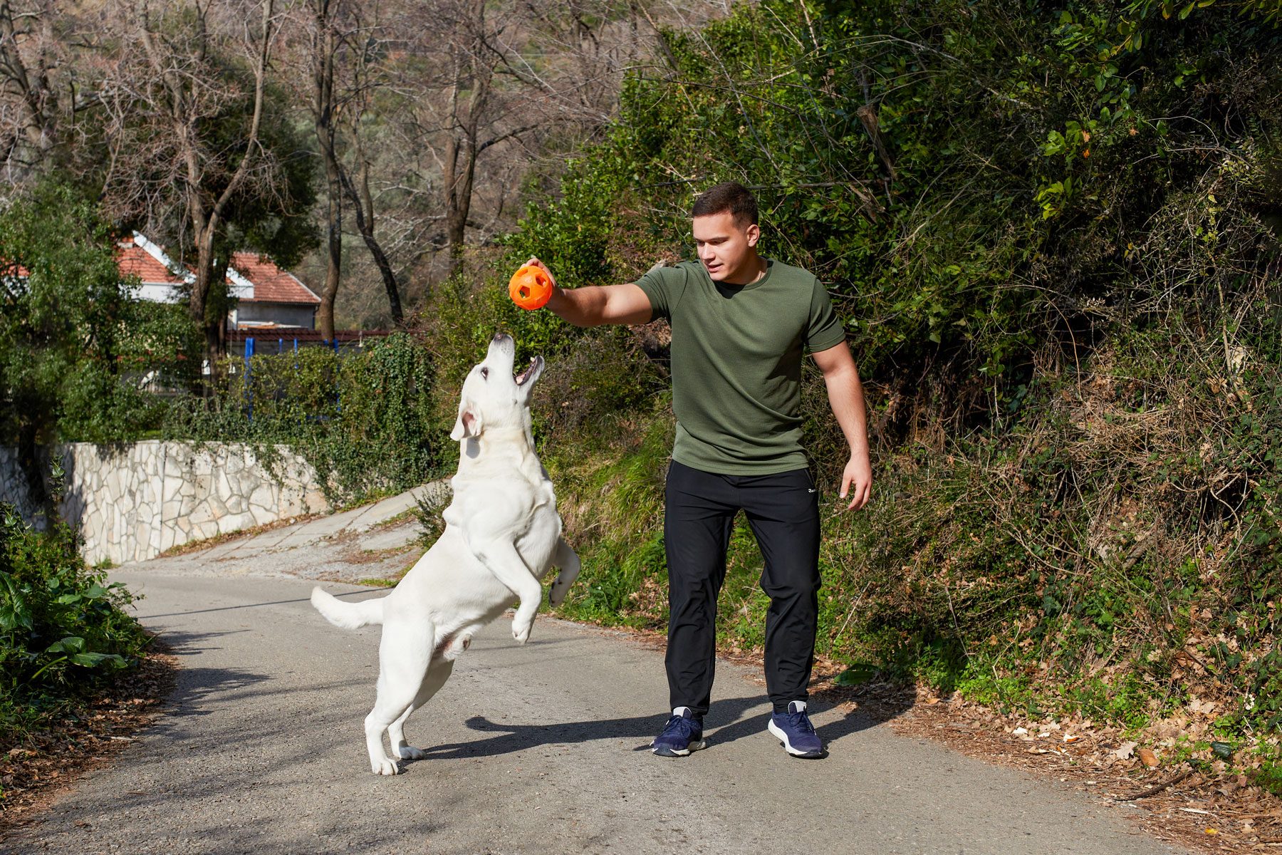 A Young Man Plays Catch With His Dog While Walking Outside On A Sunny Day