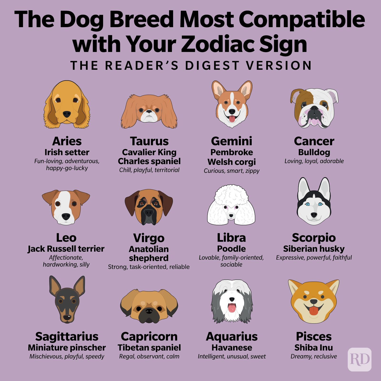 The Dog Breed Most Compatible with Your Zodiac Sign