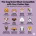 The Dog Breed Most Compatible with Your Zodiac Sign