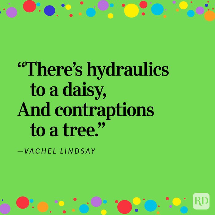 Funny Poems That Will Perk Up Your Day 22 V3