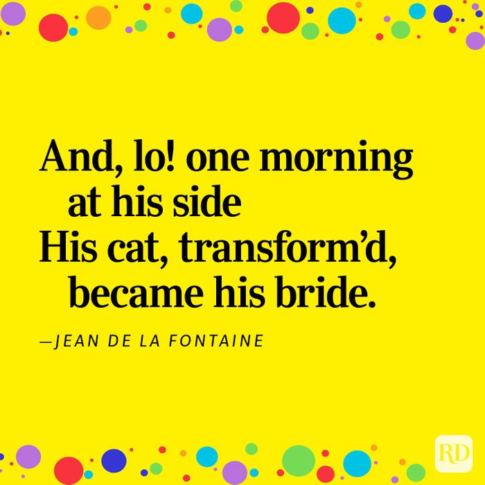 Funny Poems That Will Perk Up Your Day 9 V2