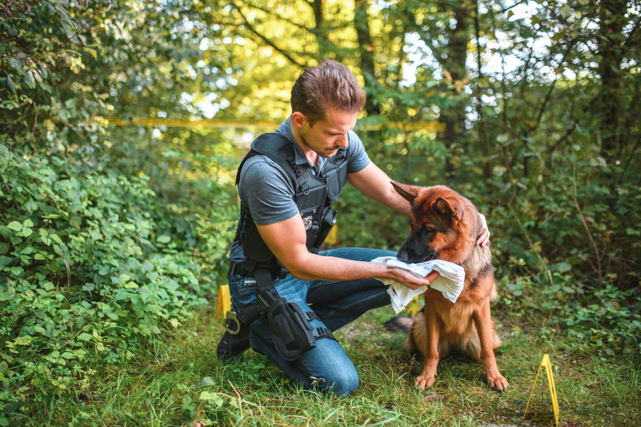 Experienced Mid Adult Caucasian Police Dog Handler at Crime Scene Working With Police Dog