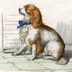 15 Extinct Dog Breeds You Never Knew Existed