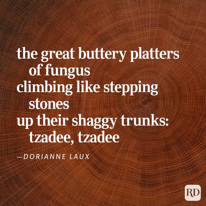 Nature Poems Gettyimages 36