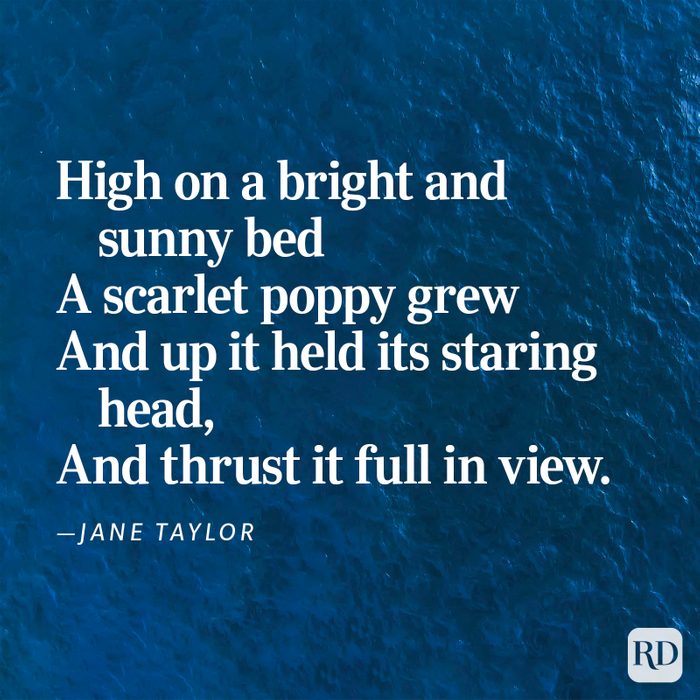 Nature Poems Gettyimages 39