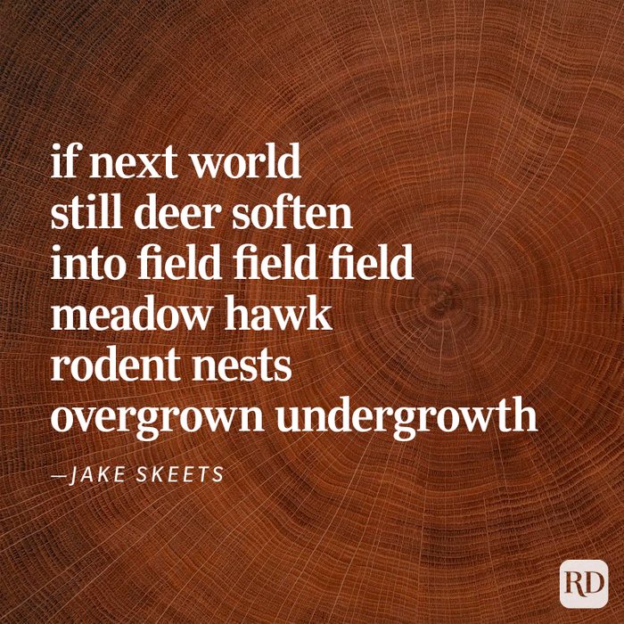 Nature Poems Gettyimages 41jpg