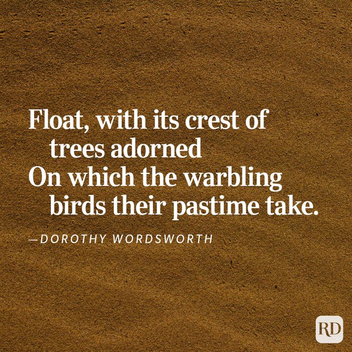 Nature Poems Gettyimages 42