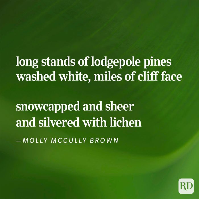 Nature Poems Gettyimages 43