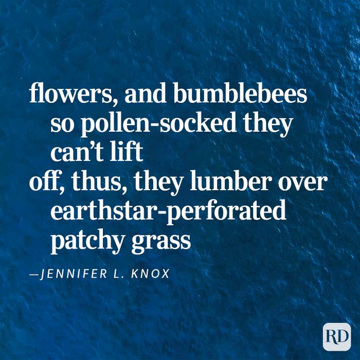 Nature Poems Gettyimages 44