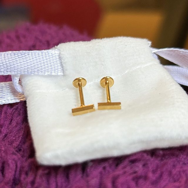 Little Bar Sleeper Earrings