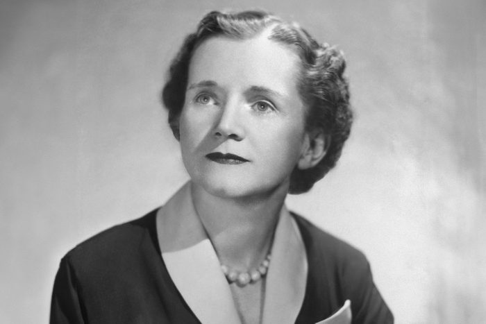 Biologist And Author Rachel Carson