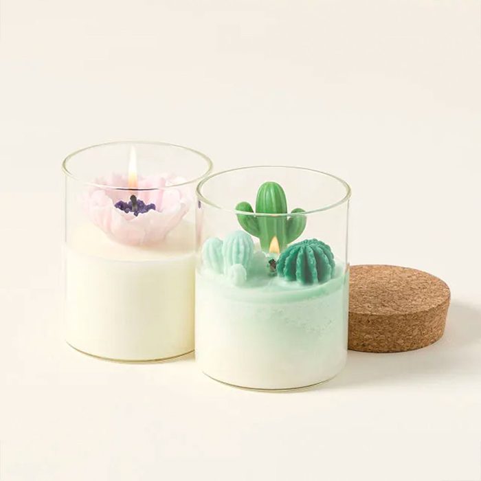 Uncommon Goods Terrarium Candle