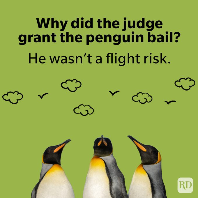 Funniest Lawyer Jokes