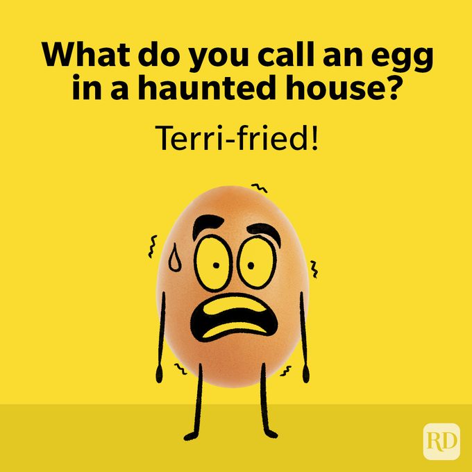 Funny Chicken And Egg Puns