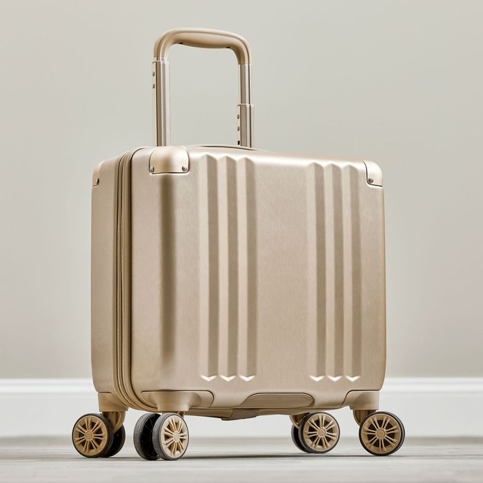 Calpak Luggage Bag