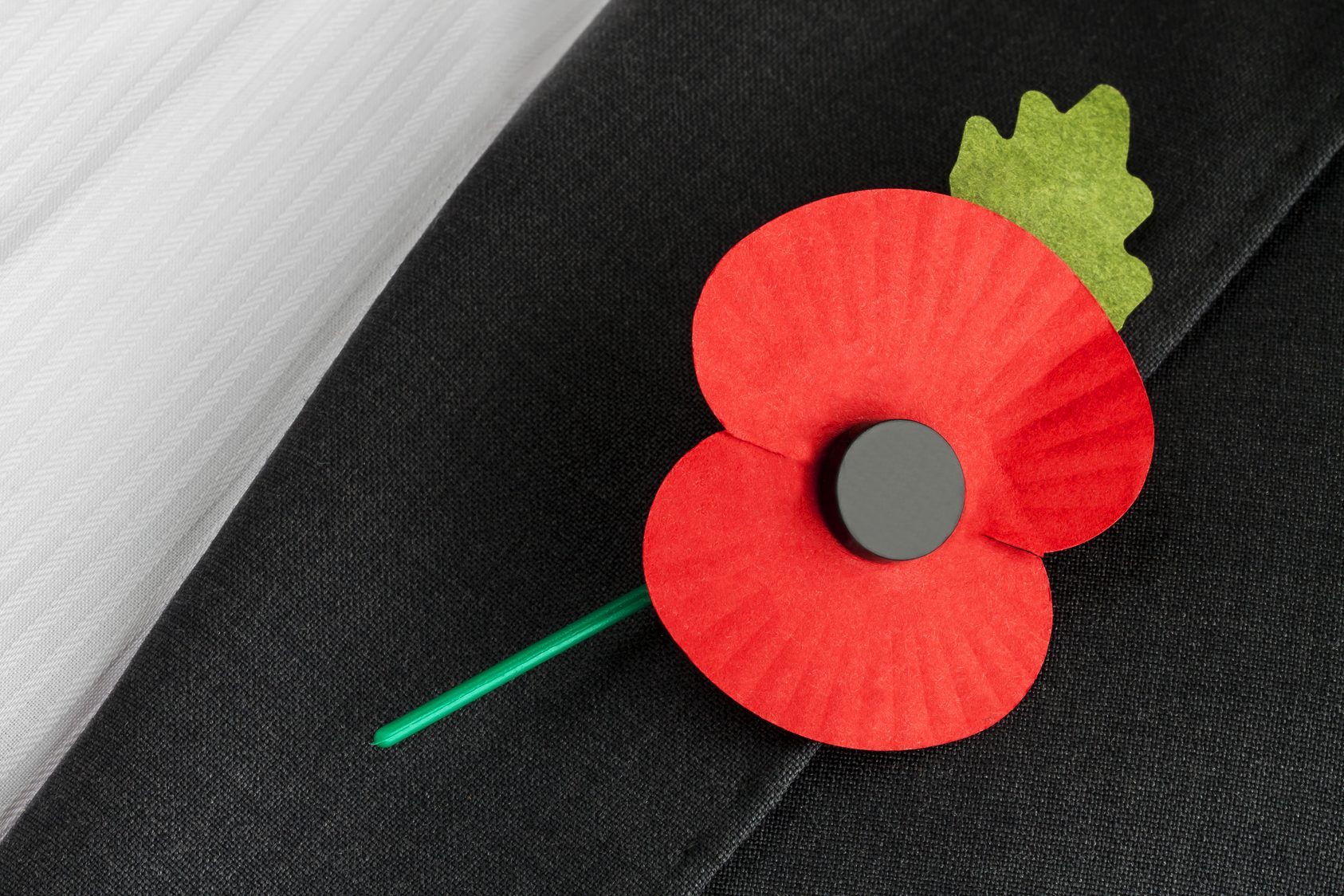 Poppy Appeal - Remembrance Sunday.