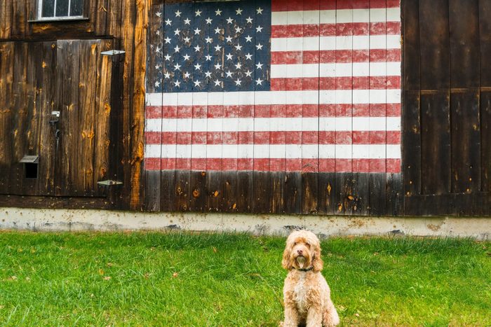 Gettyimages 622221810 2 A