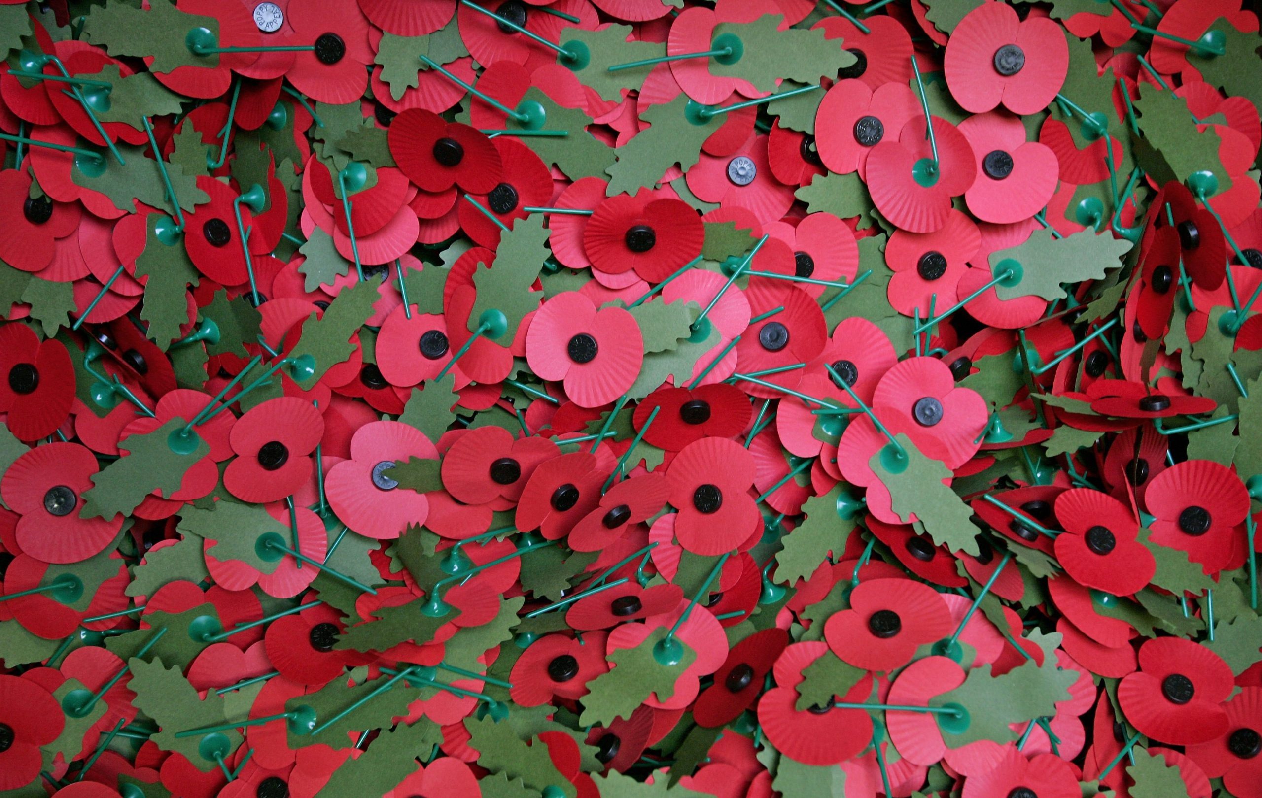 Behind The Scenes Of British Legion Poppy Factory