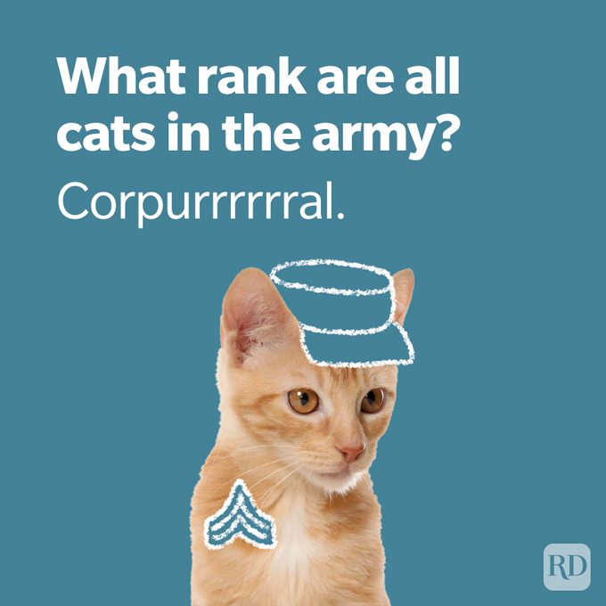 Military Jokes 2 Gettyimages 1143355124