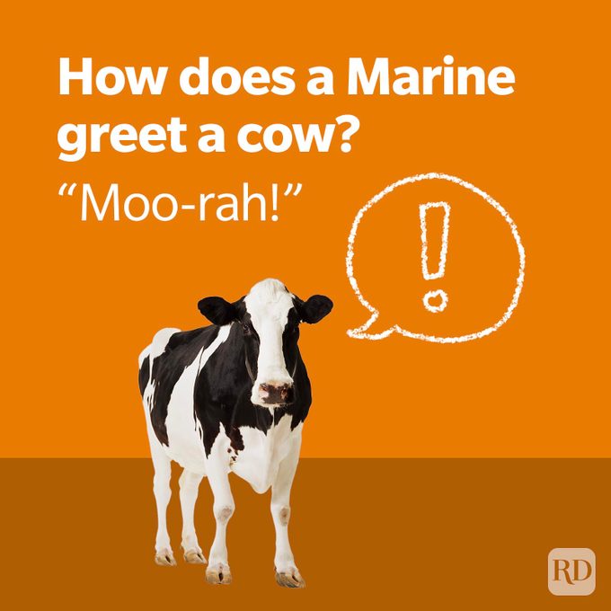 Military Jokes 4 Gettyimages Aa049691