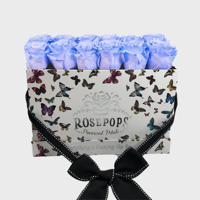 Rd Ecomm Butterfly Keeper By The Dozen Via Rosepops.com