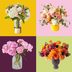 8 Gorgeous Motherâ€™s Day Flowers to Send All the Moms in Your Life in 2024