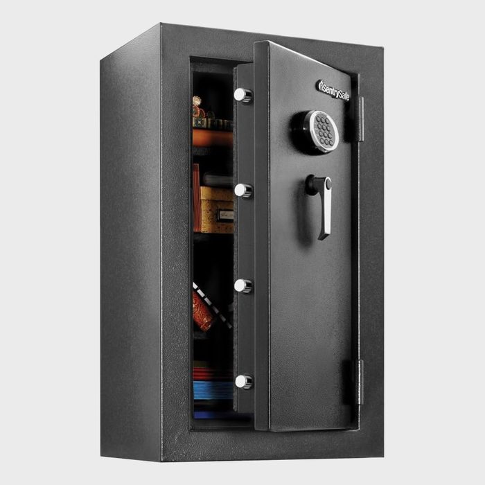 Rd Ecomm Sentrysafe Fireproof And Waterproof Large Steel Home Safe With Digital Keypad Lock Via Amazon.com