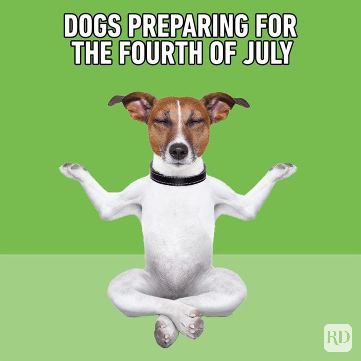 Funny 4th Of July Memes