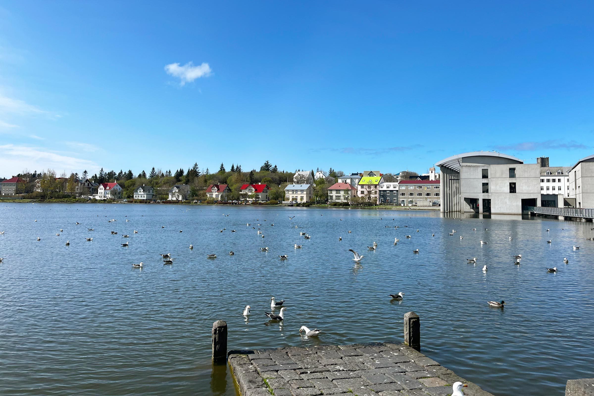 water and town in iceland