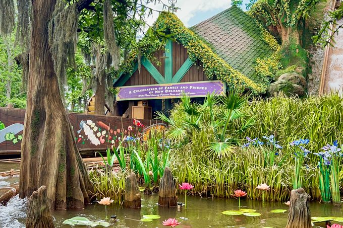 Tianas Bayou Adventure