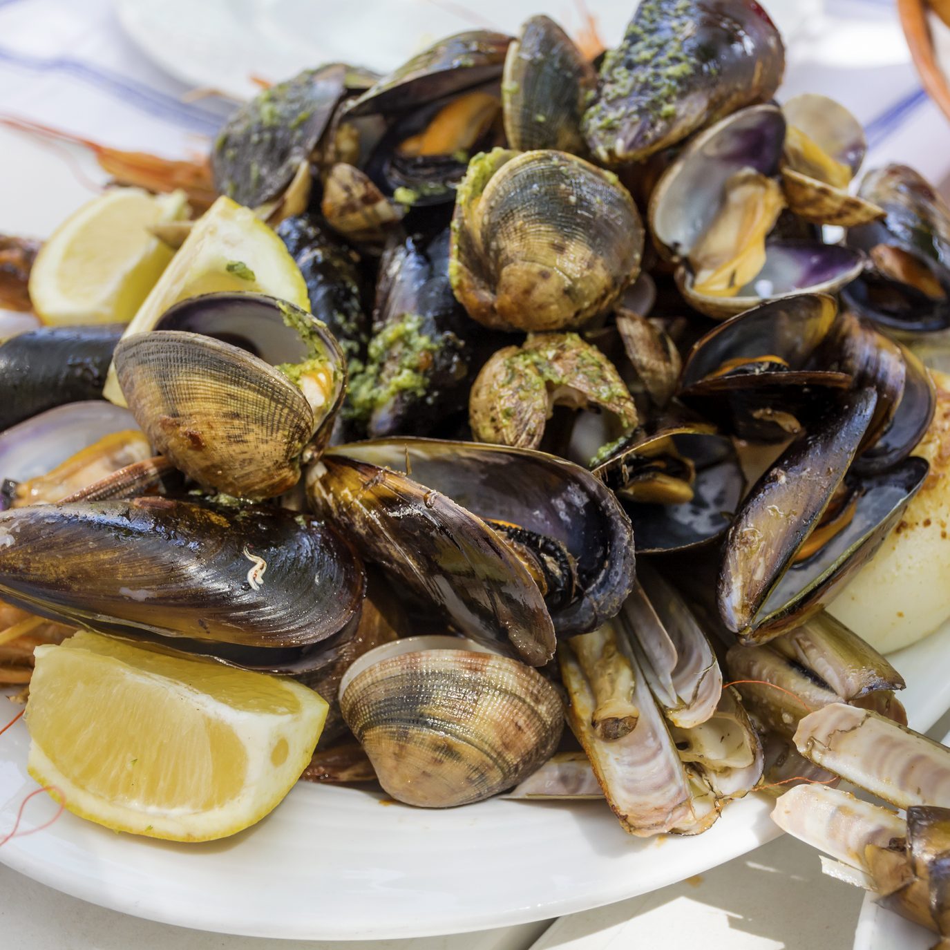 Shrimps and shellfish cooked with parsley