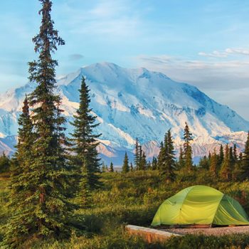 Camping in Denali National Park, Alaska, USA