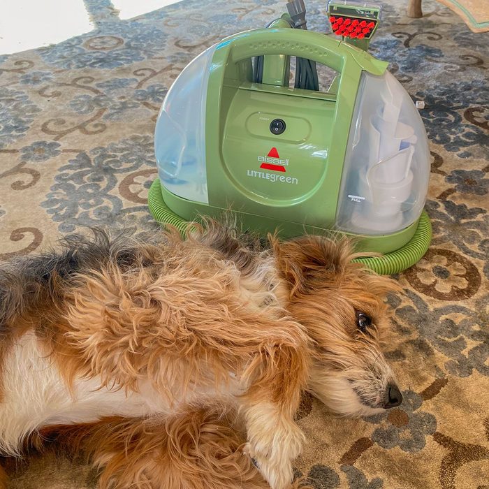 Bissell Little Green Machine