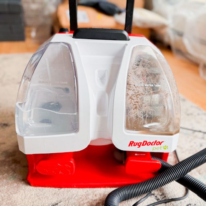 Rug Doctor Pet Portable Spot Cleaner