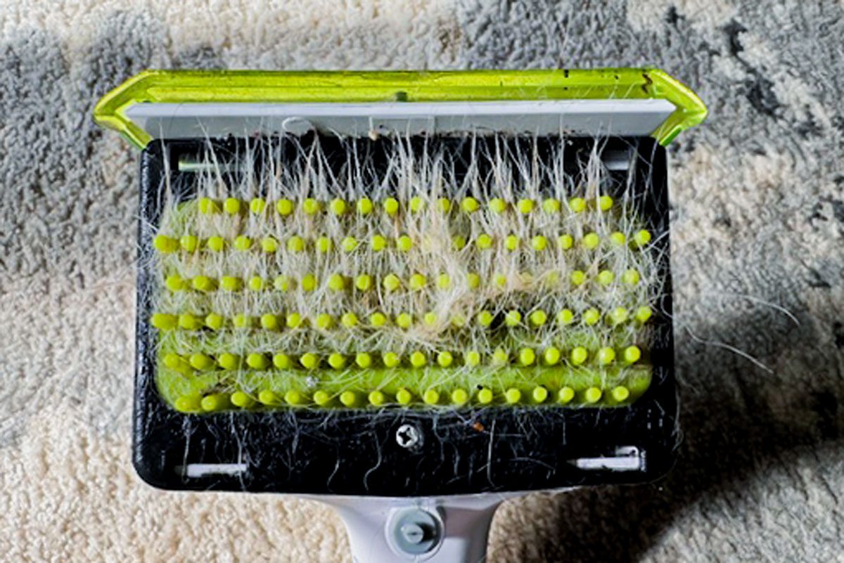 Rug Doctor Pet Portable Spot Cleaner