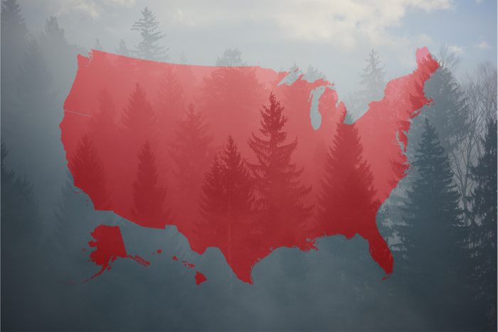 Spookiest Urban Legends From Every State