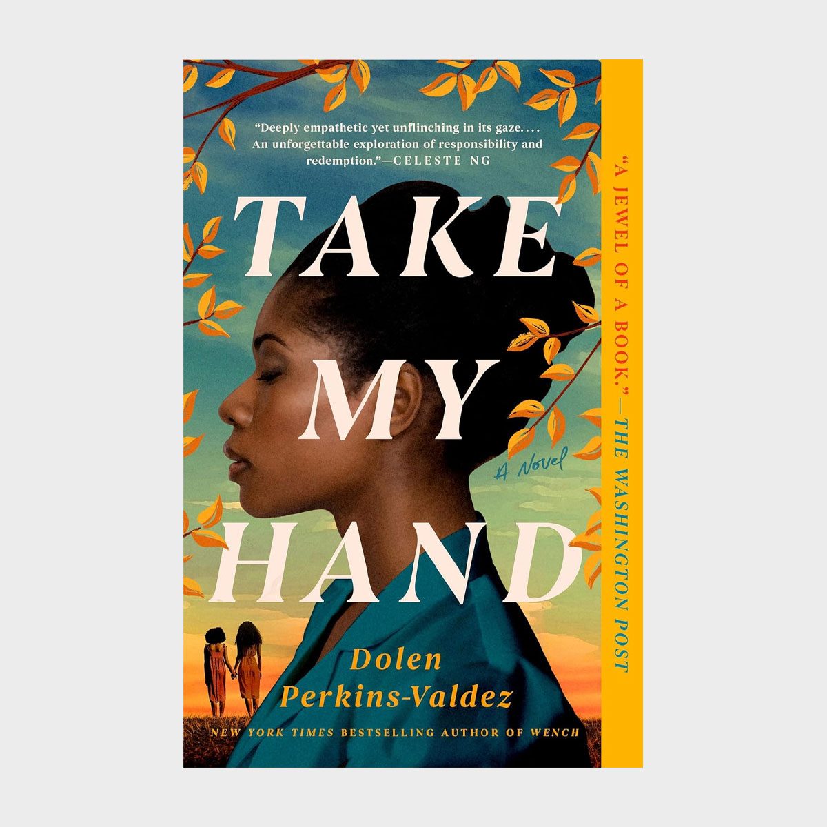 Take My Hand By Dolen Perkins Valdez