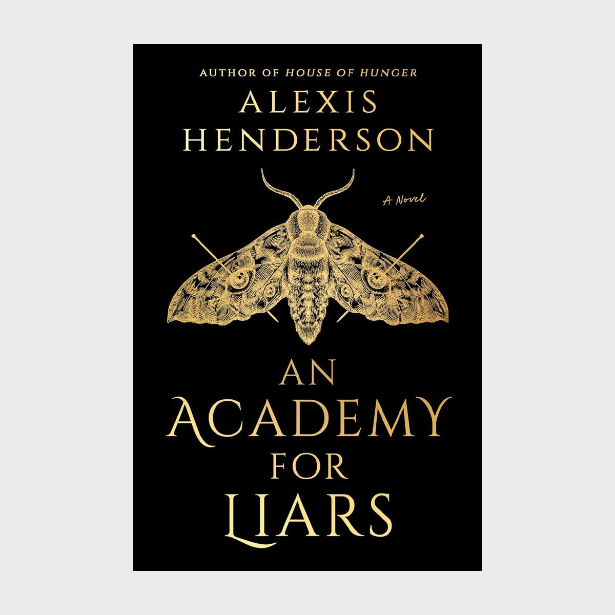 An Academy For Liars Book