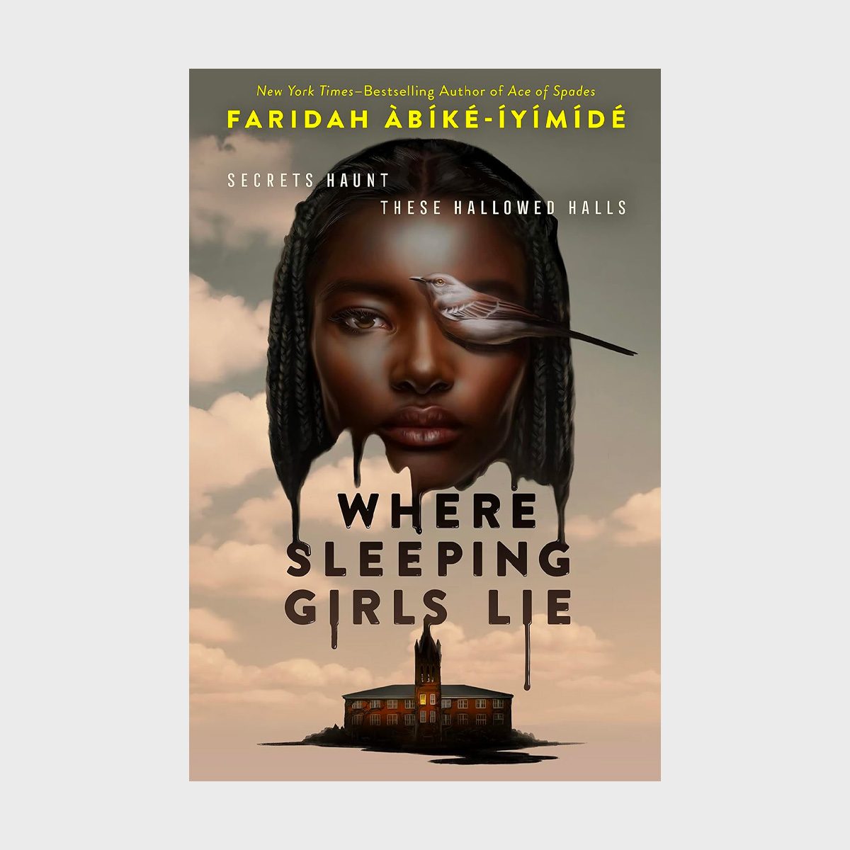 Where Sleeping Girls Lie Book