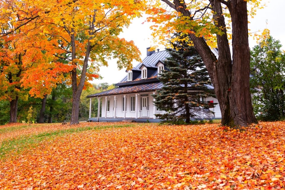 Pretty,landscape,with,patrimonial,19th,century,wooden,house,seen,surrounded