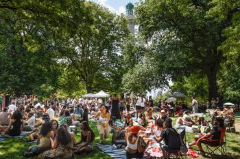 Big crown in Fort Greene Park
