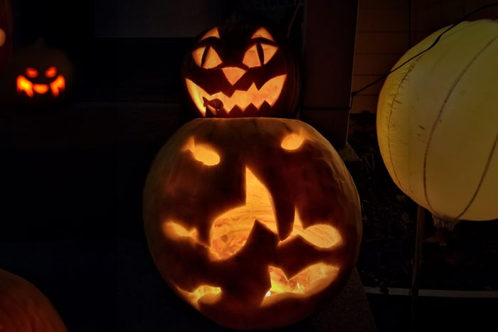 Cat In The Fishbowl Pumpkin Gettyimages 1403344666
