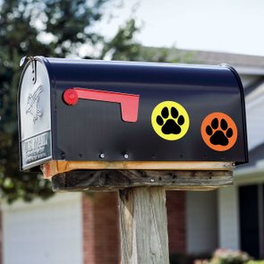 Dog Paw Print Sticker On A Mailbox