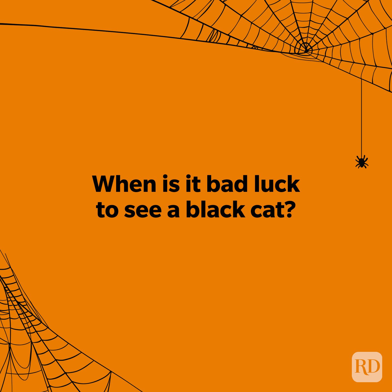 Easy Halloween Riddles